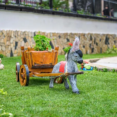 Medi 3* Sapareva Bania